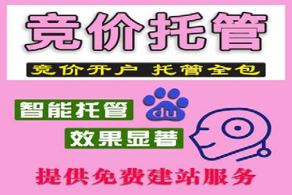百度优化推广策略解析与应用案例